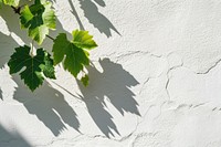 Grape leaf wall architecture backgrounds.