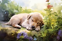 Puppy sleeping outdoors animal. 