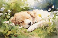 Puppy sleeping outdoors animal. AI generated Image by rawpixel.