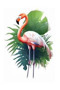 Tropical tree flamingo bird animal.