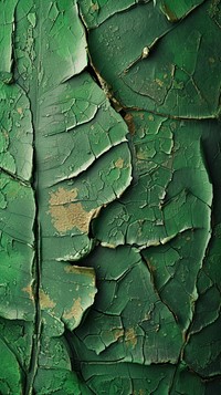 Leaf pattern rough green wall.
