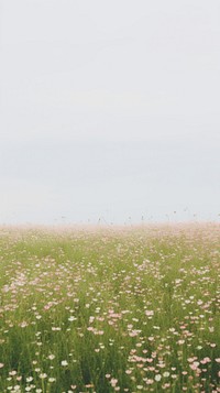  Flowers field grassland outdoors horizon. AI generated Image by rawpixel.