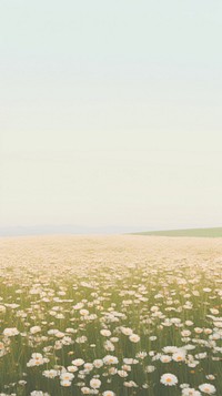 Flowers field outdoors horizon nature. AI generated Image by rawpixel.
