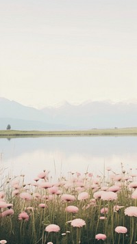  Mountains flower field lake. 