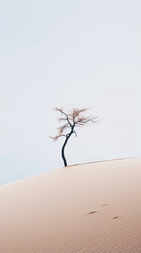 Dune tree outdoors nature. AI generated Image by rawpixel.