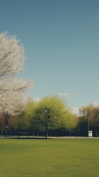  City park outdoors nature plant. AI generated Image by rawpixel.
