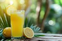 Lemonade juice lemonade fruit drink.