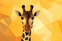 Giraffe wildlife pattern animal.