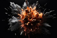 Dramatic explosion black background accessories fragility.