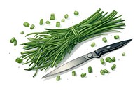 Chopped chives herb vegetable knife plant.