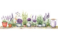 Herb garden herbs lavender outdoors.