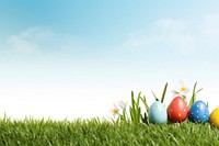 Easter eggs in grass field plant celebration springtime.