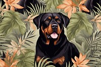 Solid toile wallpaper of rottweiler animal mammal nature.