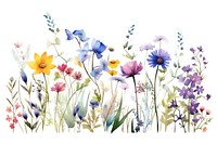 Watercolor wildflowers outdoors painting blossom.