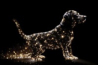Dog animal mammal light. AI generated Image by rawpixel.