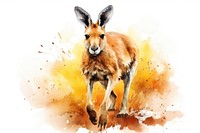 Kangaroo wallaby animal mammal.