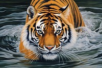 Tiger in river wildlife animal mammal.