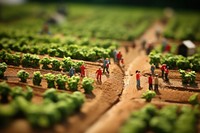 Strawberry field agriculture tilt-shift outdoors. AI generated Image by rawpixel.