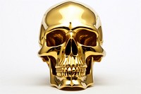 Skull gold white background anthropology.