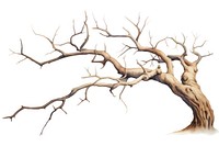 A Dry branch tree drawing nature sketch. 