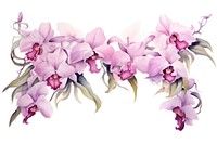 Cattleya orchid watercolor border flower nature plant.