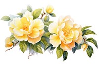 Camellia flowers watercolor border pattern nature yellow.