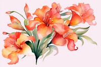 Canna Lily flowers watercolor nature petal plant.