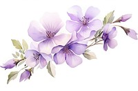 Aesthetic purple flower watercolor blossom nature petal.