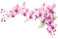 Beautiful orchid watercolor border blossom flower nature.
