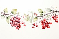 Berry watercolor border painting cherry plant.