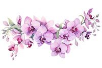 Orchid flower watercolor border nature plant inflorescence.