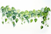 Pothos vine watercolor border nature plant leaf.