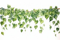 Pothos vine watercolor border hanging nature plant.