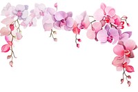 Pink orchid watercolor border blossom flower nature.