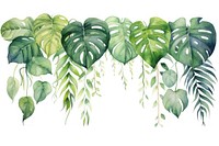 Tropical leaves plant green leaf.