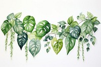 Tropical leaves plant leaf backgrounds.