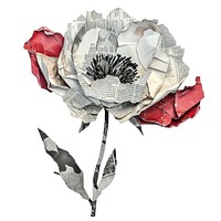 Flower paper collage drawing plant rose.