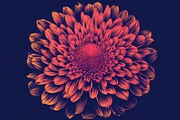  Flower pattern plant inflorescence. AI generated Image by rawpixel.