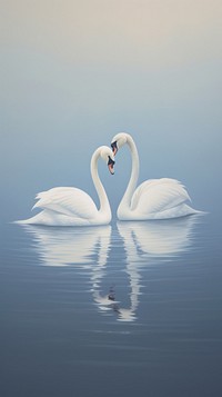 Minimal space swans animal bird reflection.