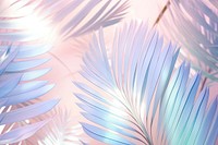 Palm leaves backgrounds pattern nature.