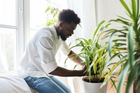 African American man plant gardening sitting.
