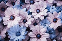  Plant background flower backgrounds outdoors. AI generated Image by rawpixel.