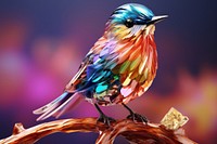 Rainbow bird animal beak creativity.