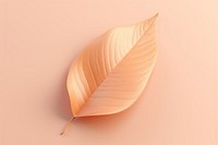3d render icon of autumn leaf plant petal pattern.