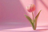 3d render icon of minimal cute tulip blossom flower petal.