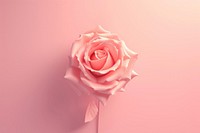 3d render icon of rose flower petal plant.