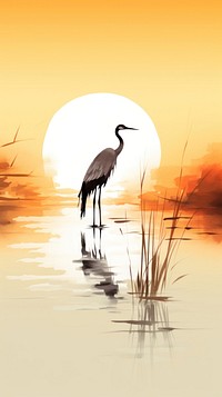 Crane in lake sunset animal bird.