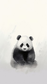Wildlife animal mammal panda.