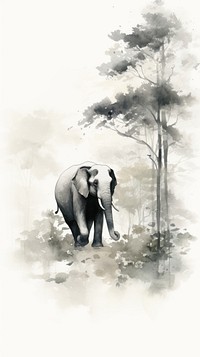 Elephant in forrest elephant wildlife outdoors.