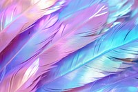 Feather texture backgrounds graphics pattern.